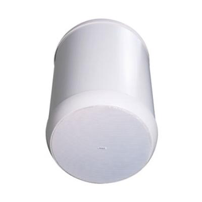 TANNOY OCV 6 - белый